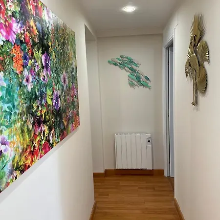 Nebrija Derecha A Coruña